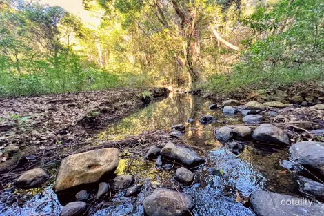 Property photo of 369 Coolamon Scenic Drive Coorabell NSW 2479