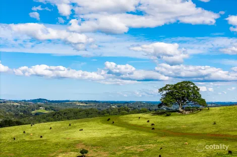 Property photo of 369 Coolamon Scenic Drive Coorabell NSW 2479