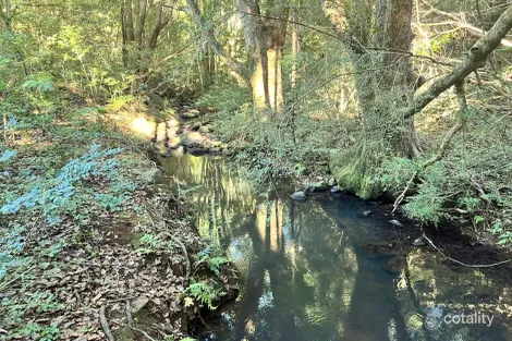 Property photo of 369 Coolamon Scenic Drive Coorabell NSW 2479