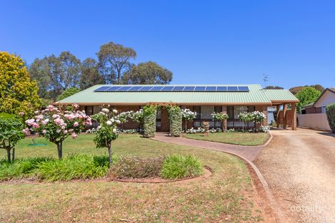 Property photo of 10 Stephens Avenue Strathalbyn SA 5255