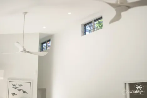 Property photo of 16 Michelia Street Palm Cove QLD 4879