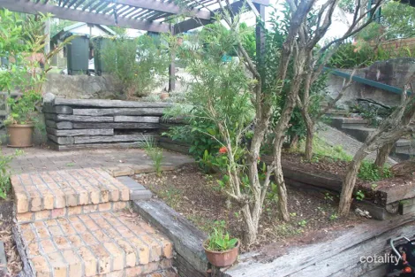 Property photo of 151 Victor Road Dee Why NSW 2099