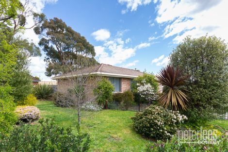 Property photo of 14 Blackwood Drive Rocherlea TAS 7248