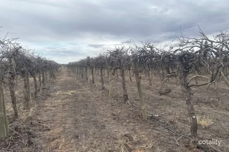 Lot 24 Tarcoola St, Renmark West, SA 5341