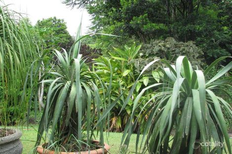 Property photo of 39 Caniaba Crescent Suffolk Park NSW 2481