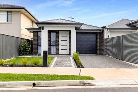 3 Norton Ave, Fulham Gardens, SA 5024