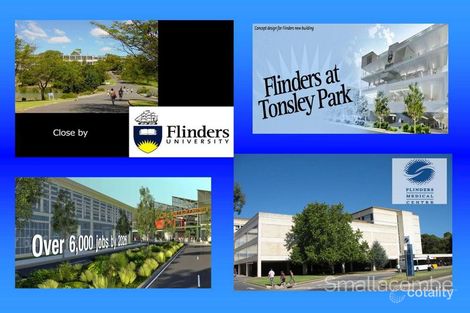 Property photo of 19 Fitzgerald Road Pasadena SA 5042