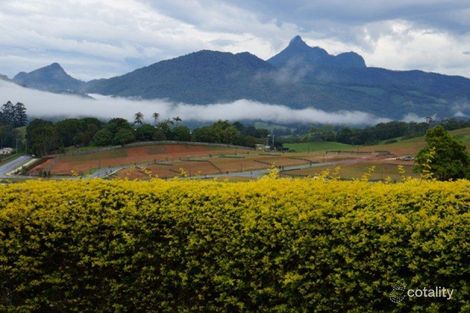 Property photo of 20 The Plateau Murwillumbah NSW 2484