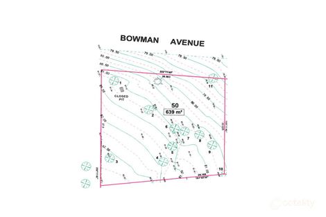 50 Bowman Ave, Camden South, NSW 2570