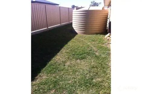 Property photo of 19 Austin Crescent Moura QLD 4718