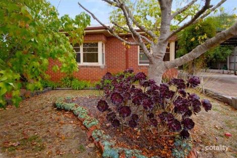 Property photo of 22 Harcourt Street Newtown VIC 3220