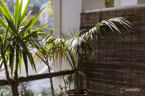 Property photo of 117/105-113 Campbell Street Surry Hills NSW 2010