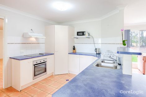 Property photo of 239 Scurr Road Wamuran QLD 4512