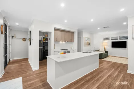 Property photo of 13 Riesling Avenue Glengowrie SA 5044