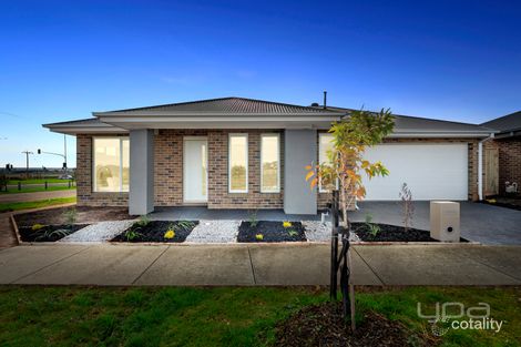 18 Camelon Ave, Thornhill Park, VIC 3335