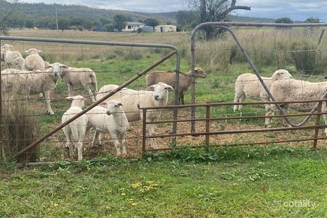 1031 Eulah Creek Rd, Eulah Creek, NSW 2390