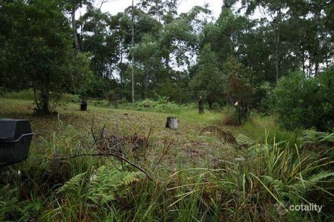 Property photo of 163A North Road Lower Beechmont QLD 4211