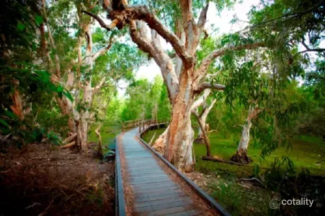 Property photo of 27 Pandanus Drive Horseshoe Bay QLD 4819