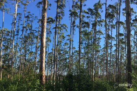 Property photo of Elmar Road Wootton NSW 2423