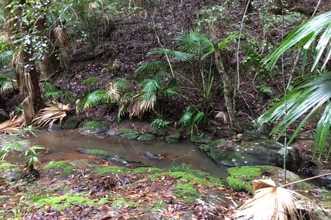 Property photo of 115 Millers Road Newee Creek NSW 2447