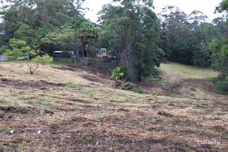 Property photo of 115 Millers Road Newee Creek NSW 2447