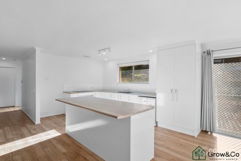 Property photo of 1/3 Tomkins Place Southport QLD 4215