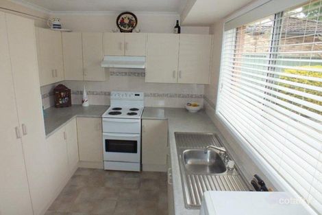 Property photo of 9 Birch Close Medowie NSW 2318