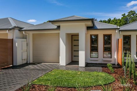 8a Everest Ave, Morphettville, SA 5043