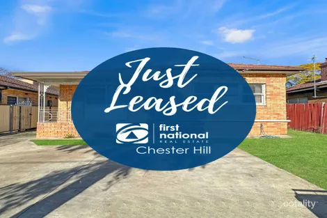 Property photo of 163 Wellington Road Sefton NSW 2162