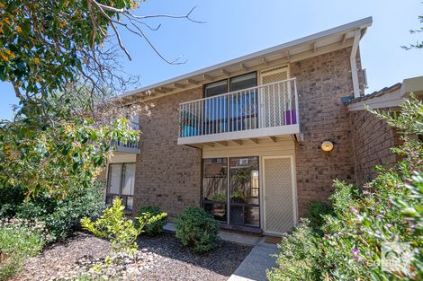 Property photo of 11/14 Windsor Avenue Clovelly Park SA 5042