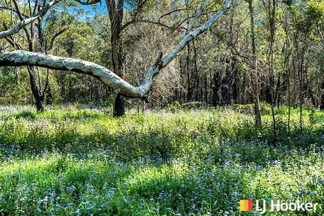 384 Murrayville Rd, Ashby, NSW 2463