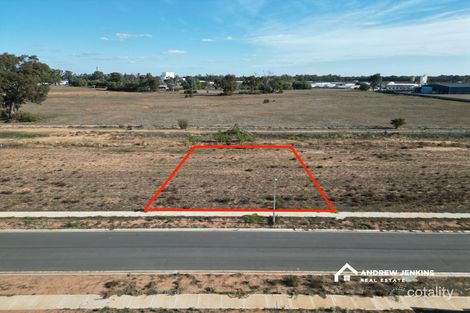 Property photo of 55 Grasso Drive Cobram VIC 3644