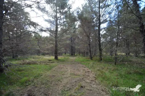 Lot 222 Sunrise Rd, Sugarloaf, QLD 4380