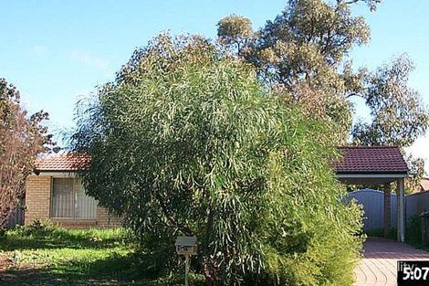 1/25 Norwich Cl, Greenfields, WA 6210