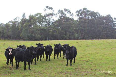 Mount Richard Rd, Nanarup, WA 6330