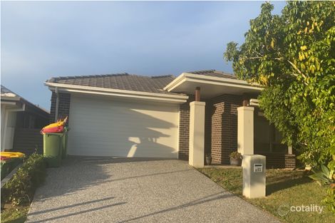 31 Cardwell Cct, Thornlands, QLD 4164