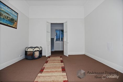 Property photo of 53 Hebburn Street Pelaw Main NSW 2327