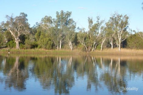 Property photo of 128 Thamm Road Morgan SA 5320