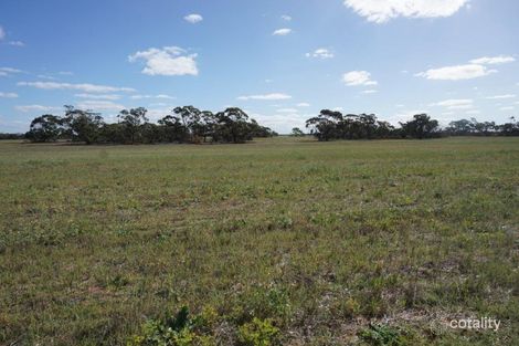 1028 Warro Rd, Boothendarra, WA 6521