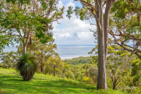 Property photo of 12 Illawong Crescent Dunwich QLD 4183