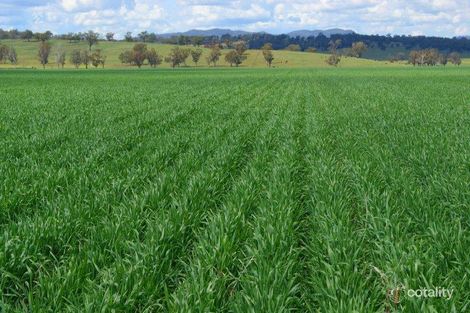Property photo of 450 Warrah Ridge Road Quirindi NSW 2343