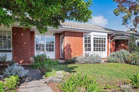 Property photo of 2/117 Allinga Avenue Glenunga SA 5064