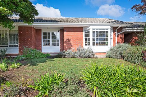 Property photo of 2/117 Allinga Avenue Glenunga SA 5064