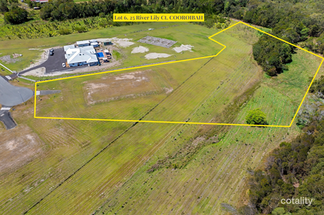25 River Lily Ct, Cooroibah, QLD 4565