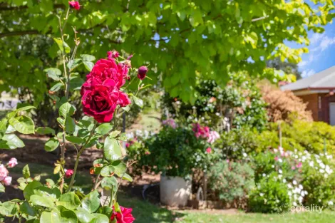 Property photo of 1 Koonung Drive Warragul VIC 3820