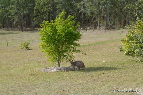 Property photo of 61 Riches Road Ettrick NSW 2474