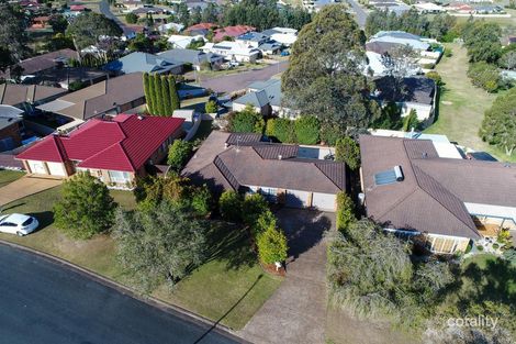 Property photo of 14 Corina Avenue Bolwarra Heights NSW 2320