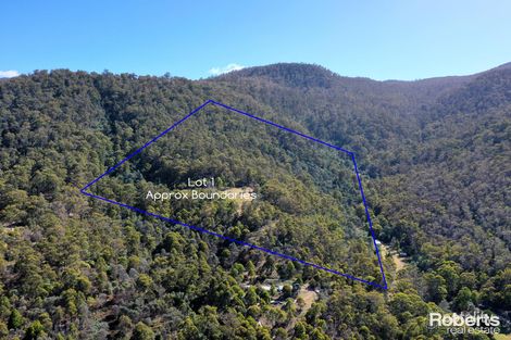 320 Blackwells Rd, Magra, TAS 7140
