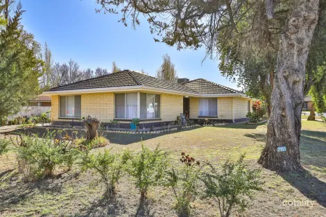 Property photo of 2169 Fifteenth Street Irymple VIC 3498