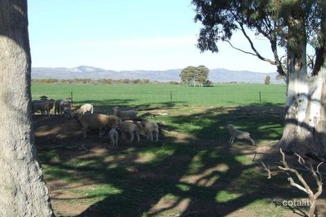 Lot 296 Spencer Rd, Mambray Creek, SA 5495